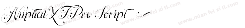 NuptialLTPro Script◆字体转换